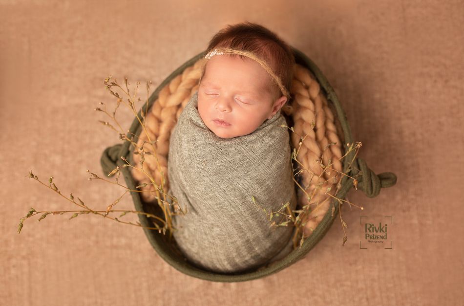 054A3853איכות נמוכה.jpg