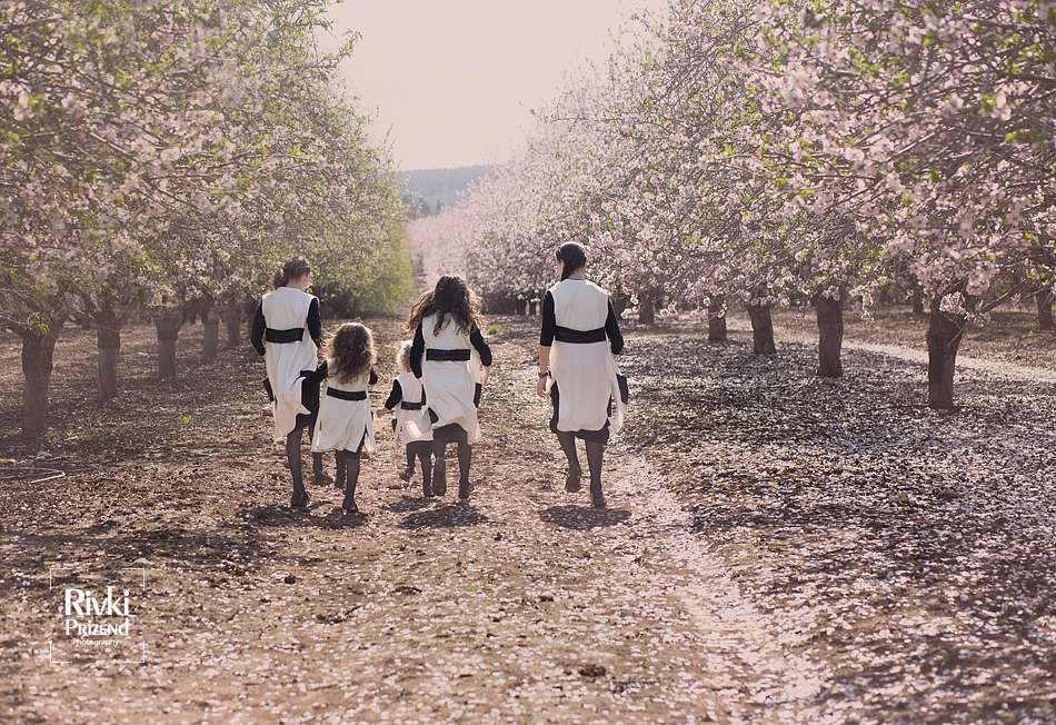 054A6136איכות נמוכה.jpg