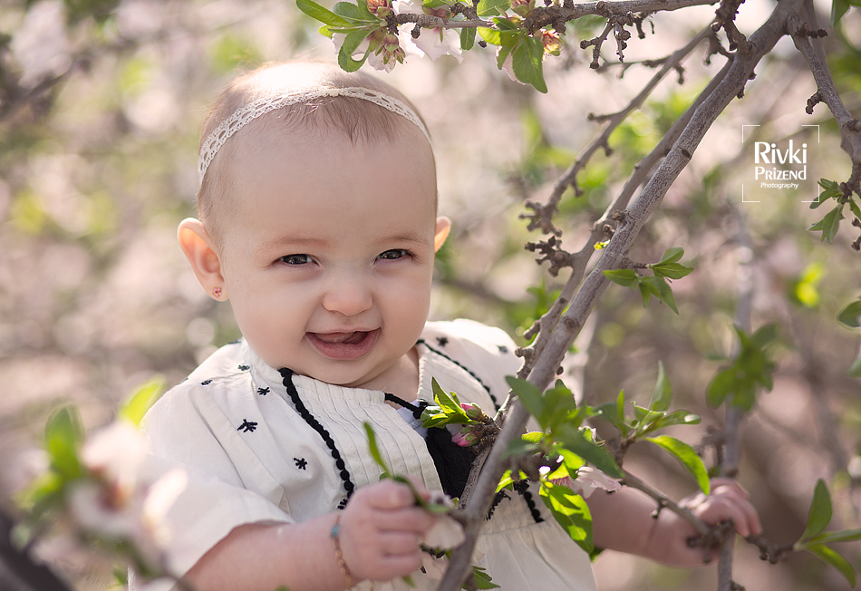 054A6169איכות נמוכה.jpg