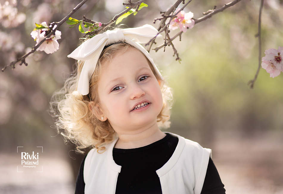 054A6278איכות נמוכה.jpg