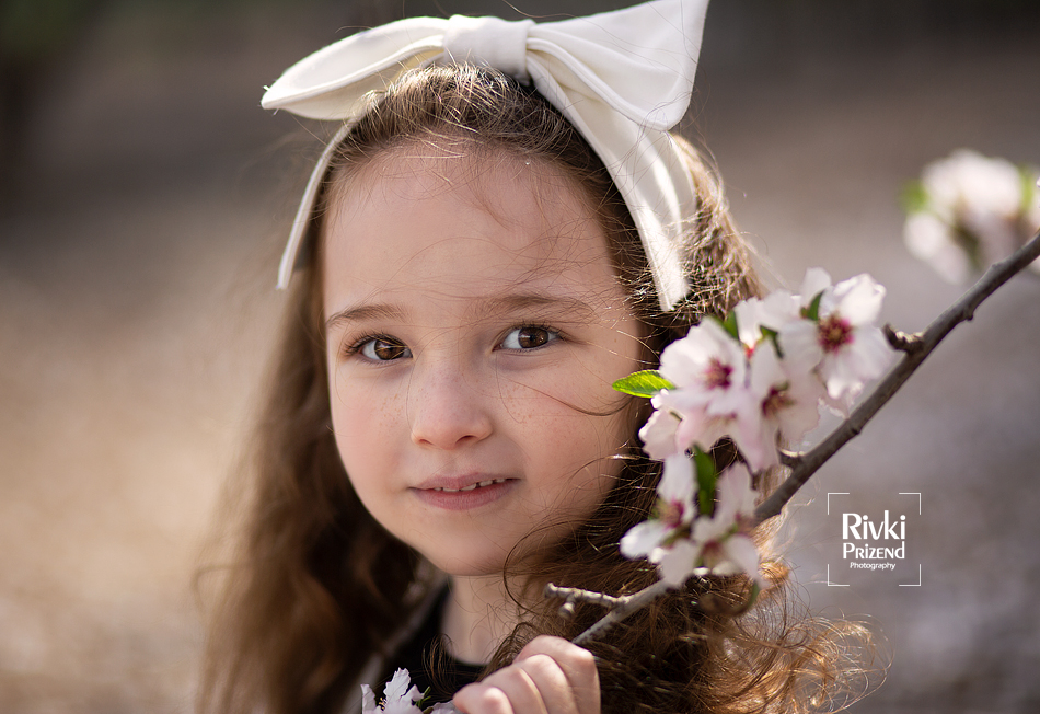 054A6289איכות נמוכה.jpg