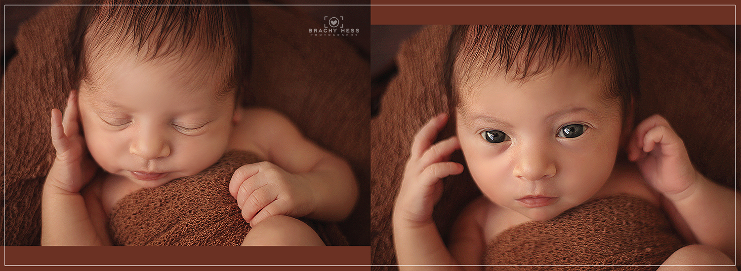 07 תקריבים-01.jpg