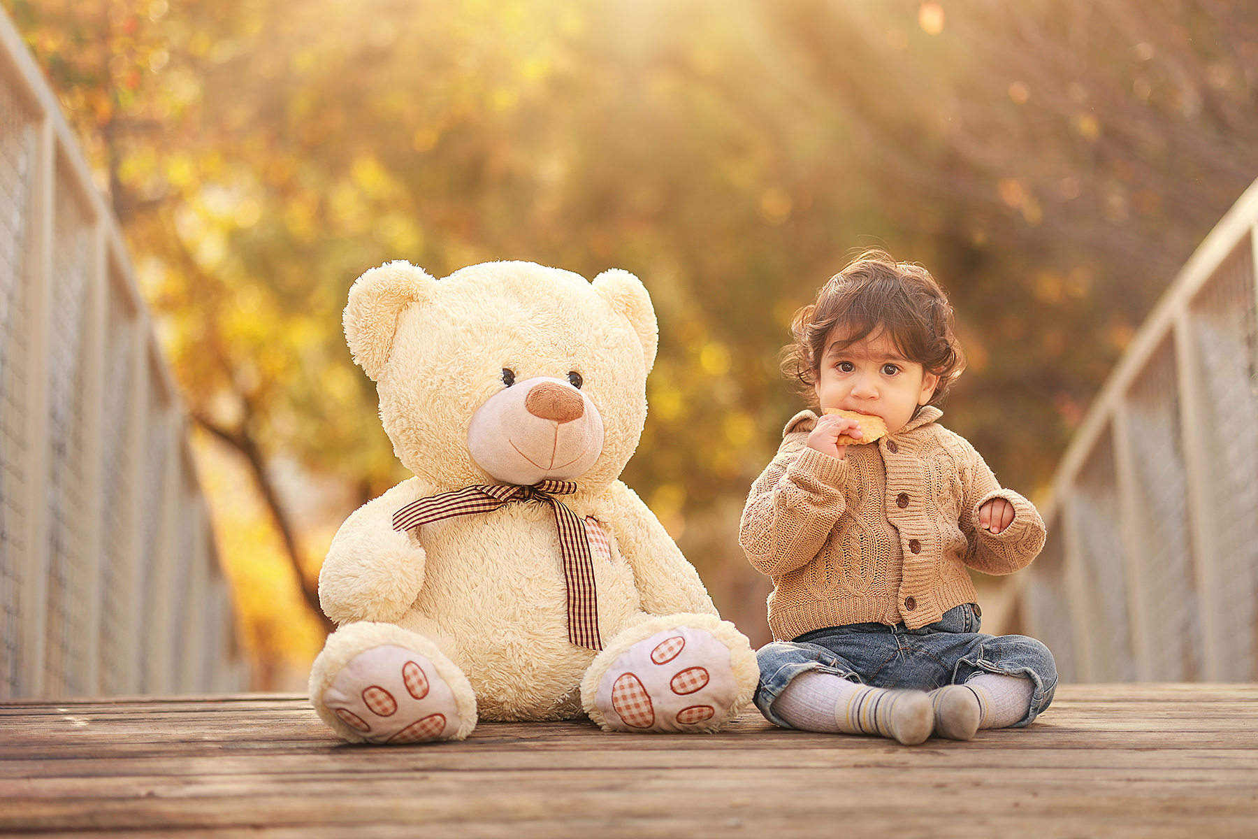 081A0182 copy 2מוקטן.jpg