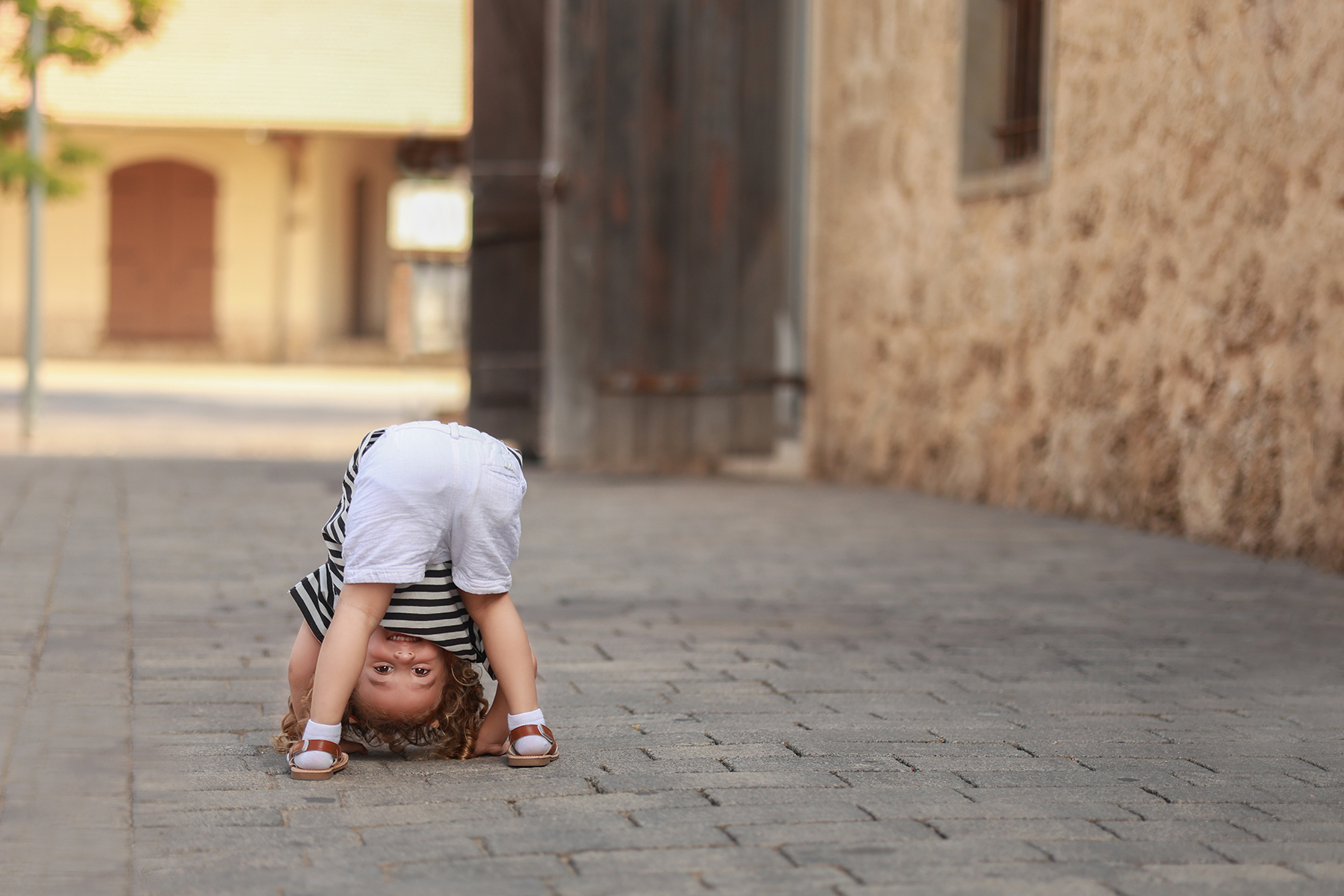 081A1127 copy 2קטן.jpg