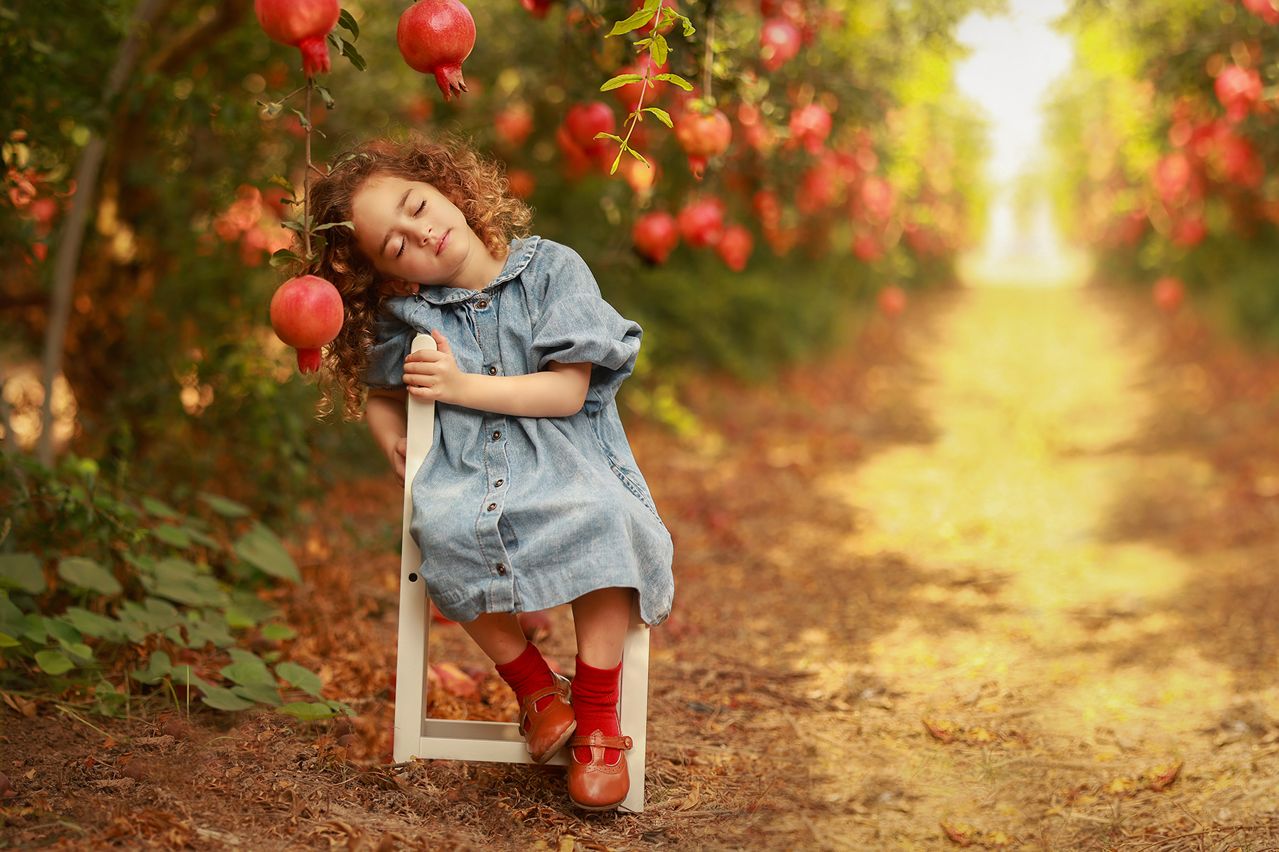 081A1158 copy 2קטן.jpg