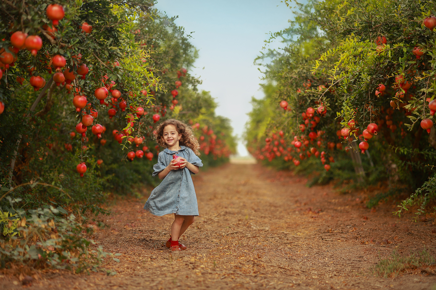 081A1556 copy 2קטן.jpg