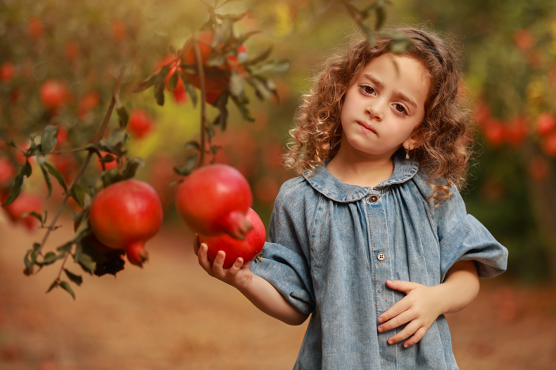 081A1668 copy 2קטן.jpg