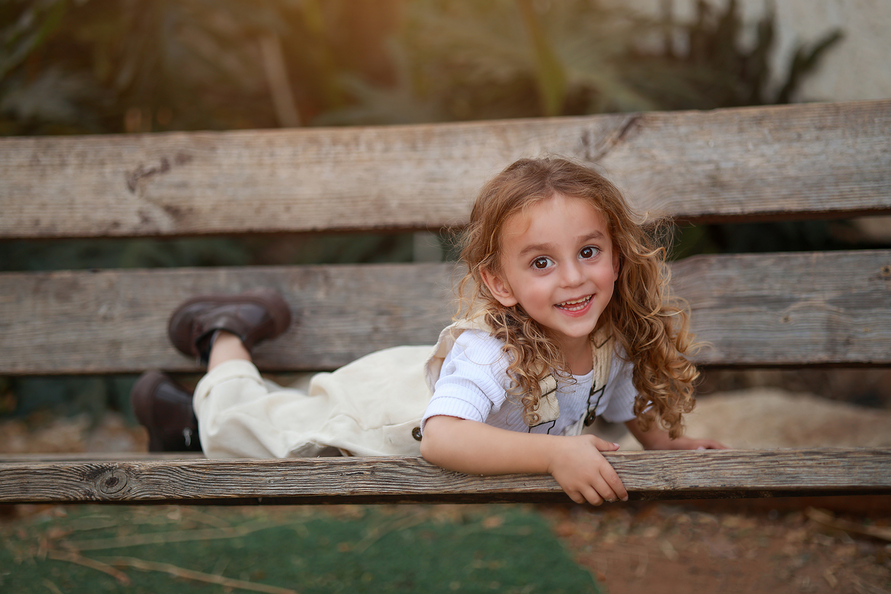 081A1678 copy 2מוקטן.jpg