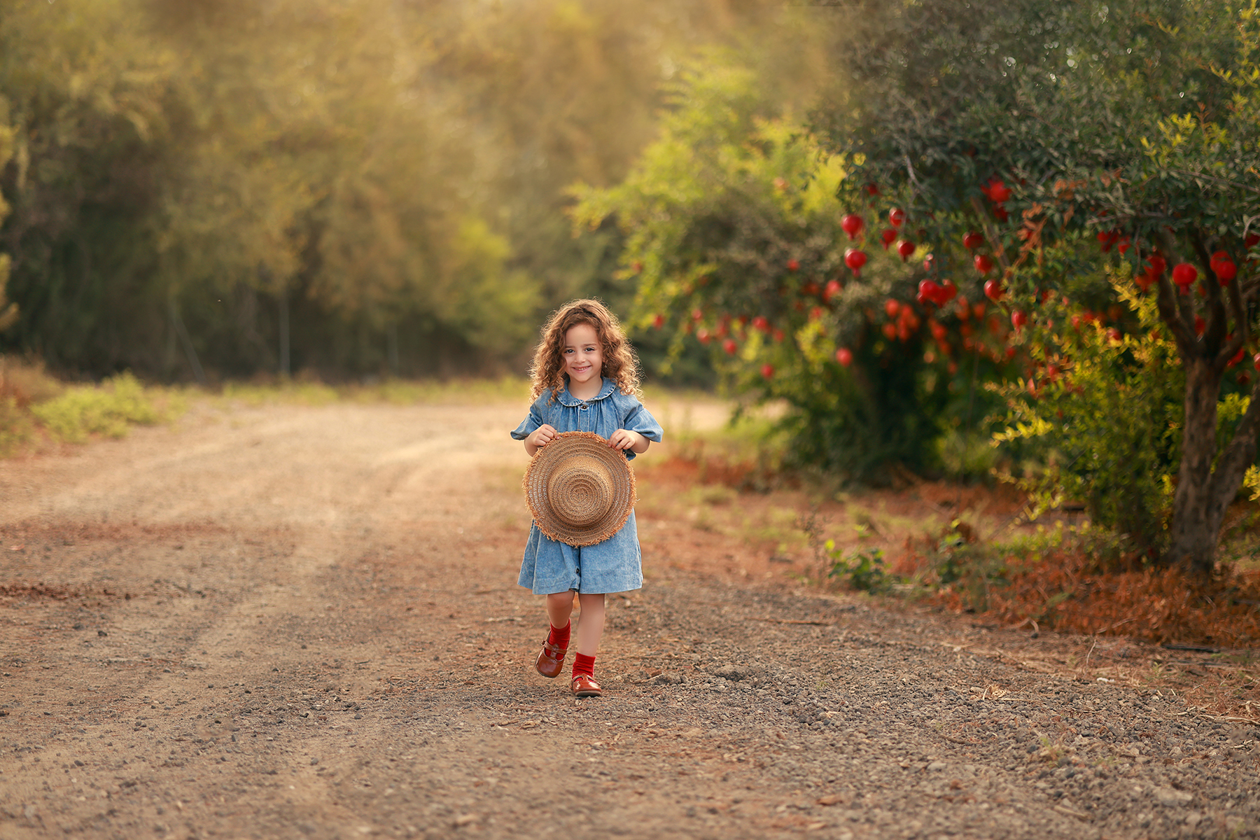 081A1710 copy 3קטן.jpg