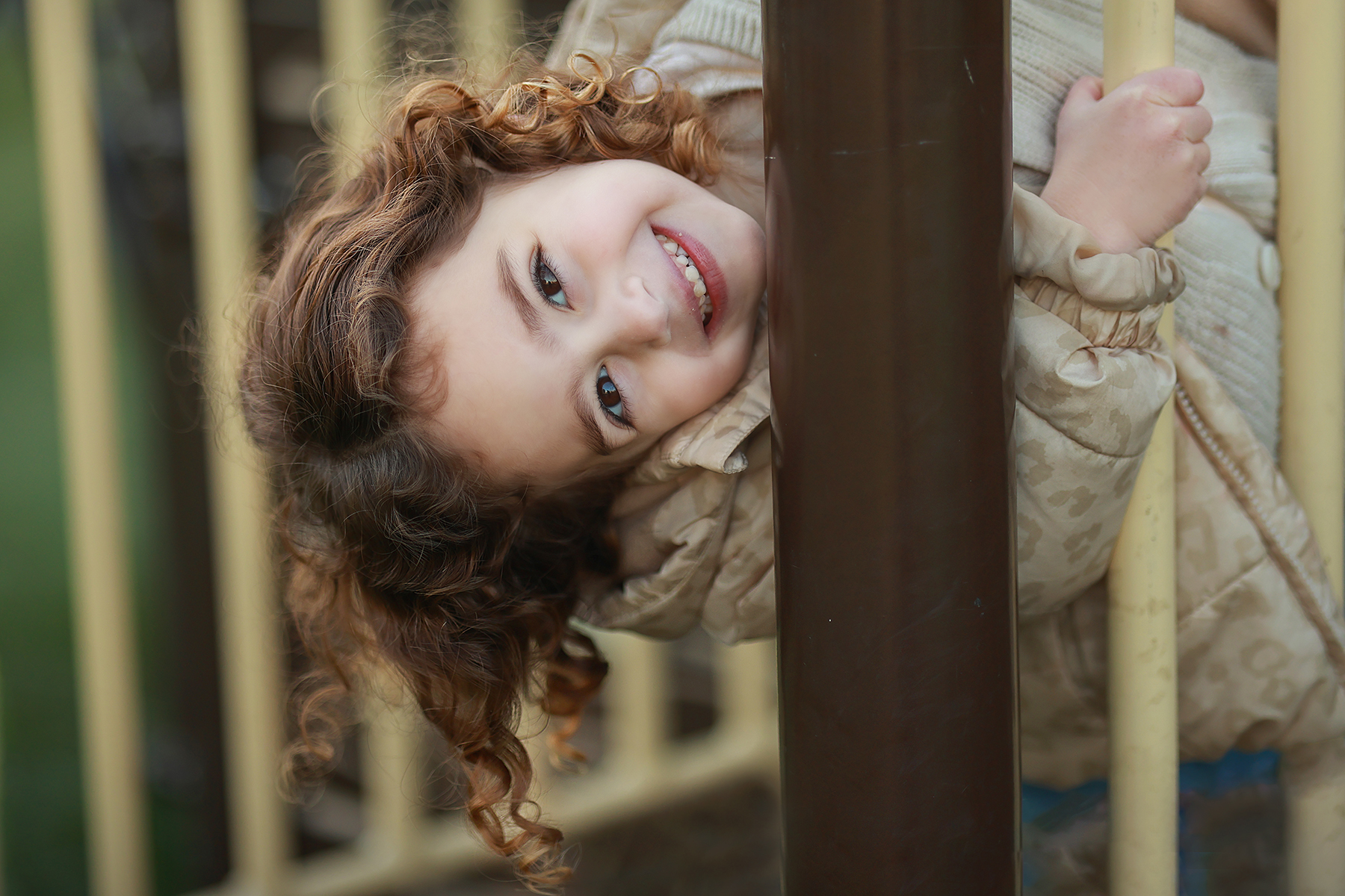 081A1781 copy 2מוקטן.jpg