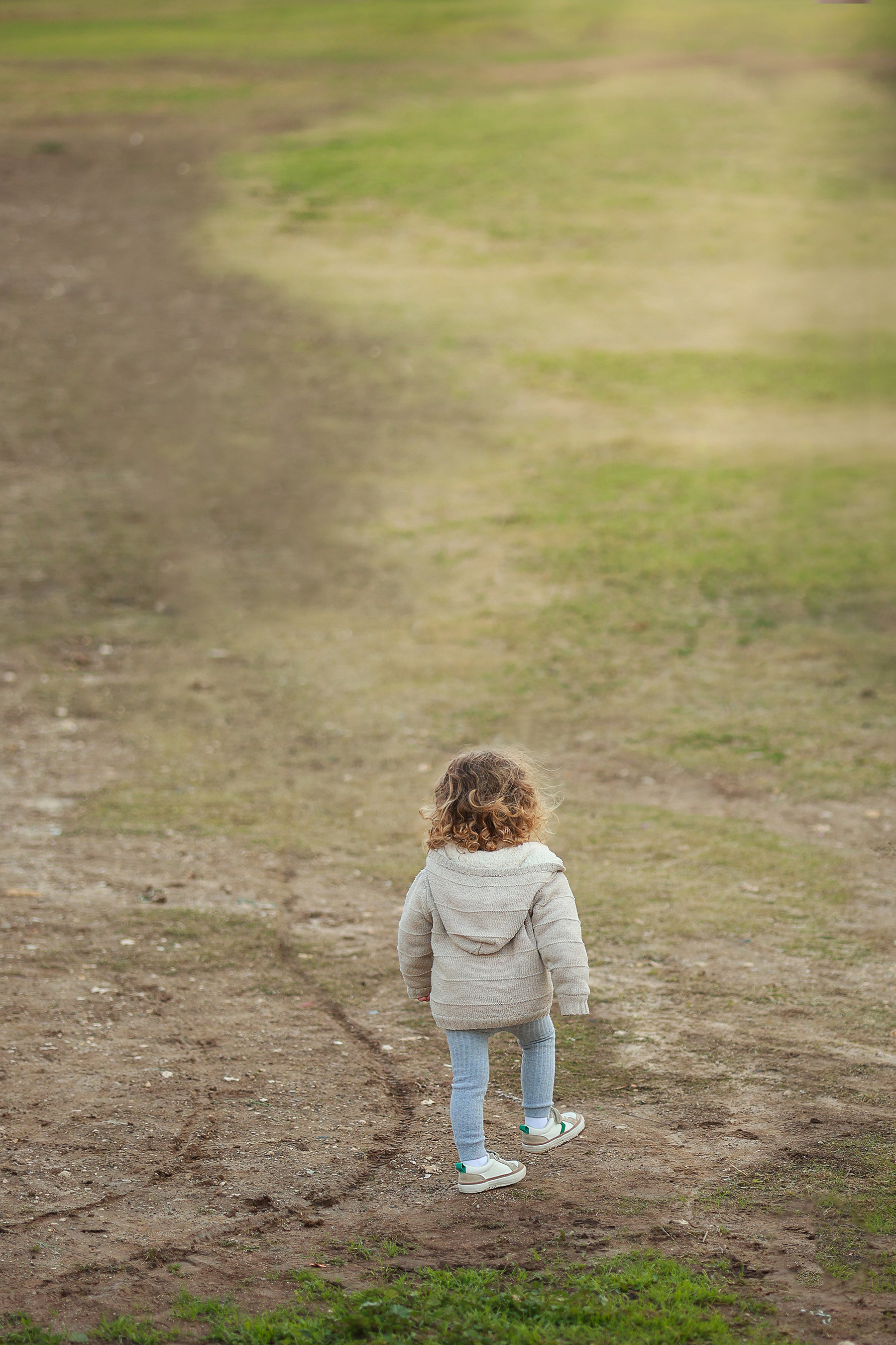 081A1903 copy 2מוקטן.jpg