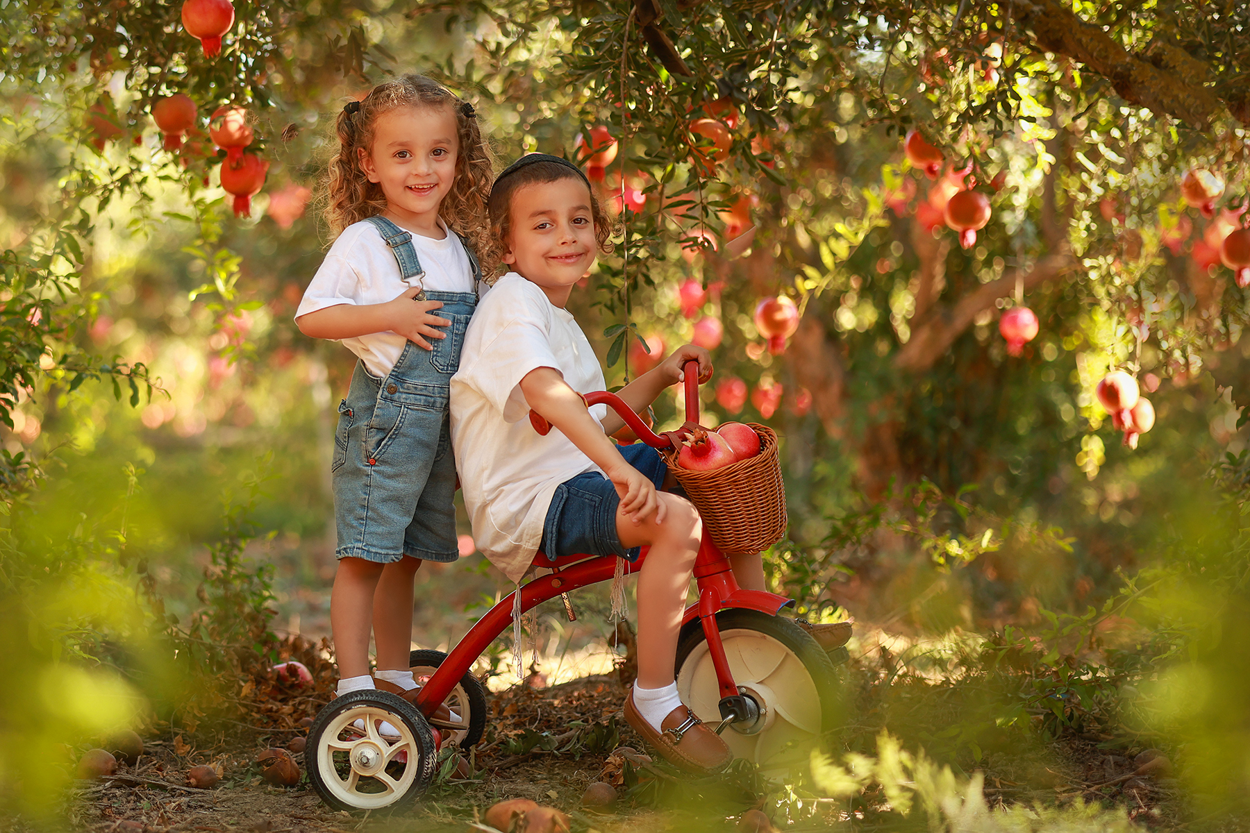 081A2029 copy 2מוקטן.jpg