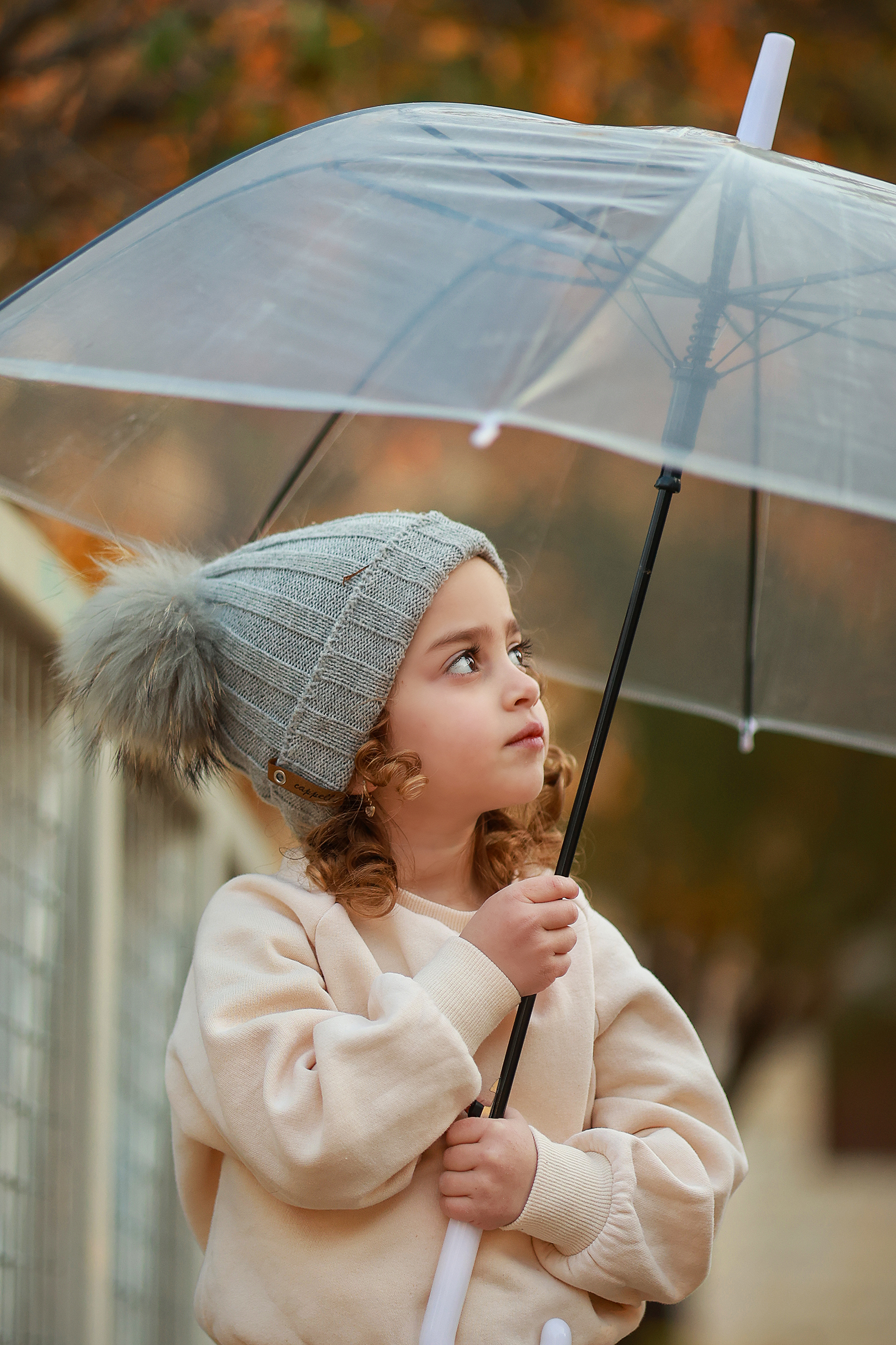 081A2031 copy 2מוקטן.jpg