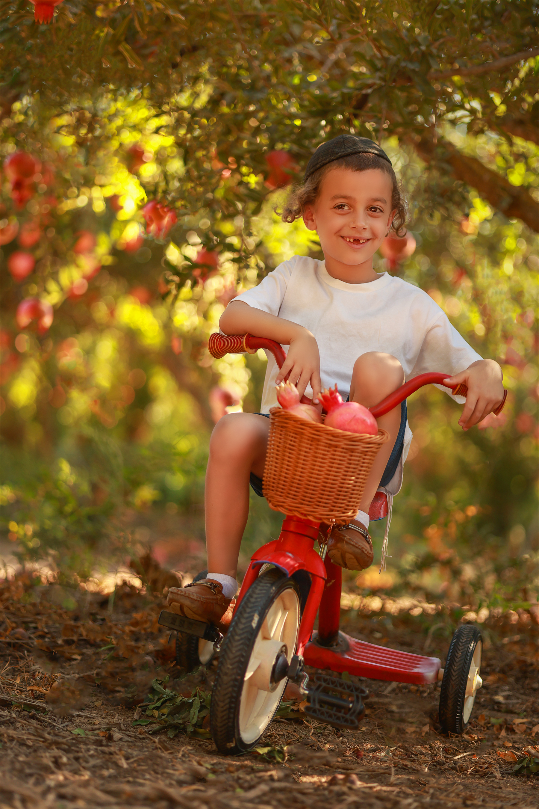 081A2254 copyמוקטן.jpg