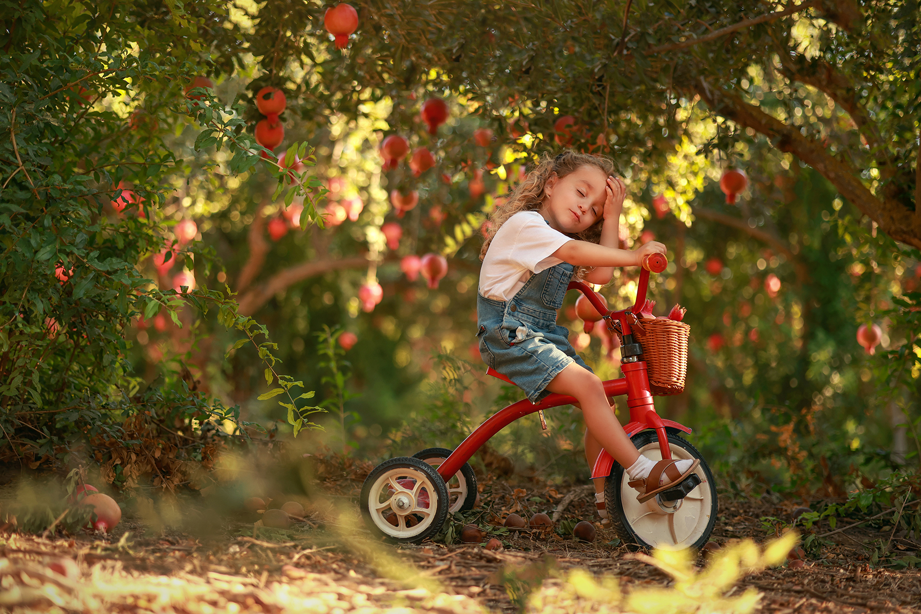 081A2360 copy 2מוקטן.jpg