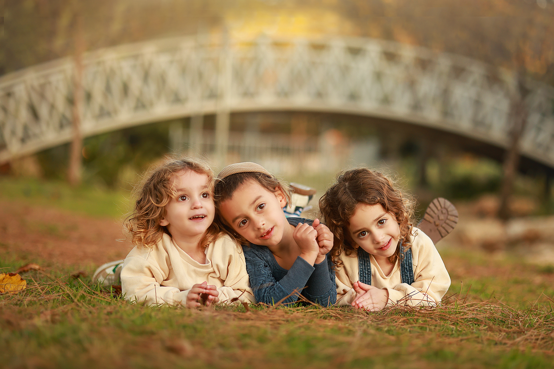 081A2362 copy 2מוקטן.jpg