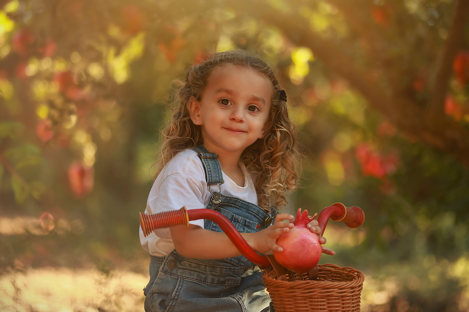 081A2421 copy 2מוקטן.jpg