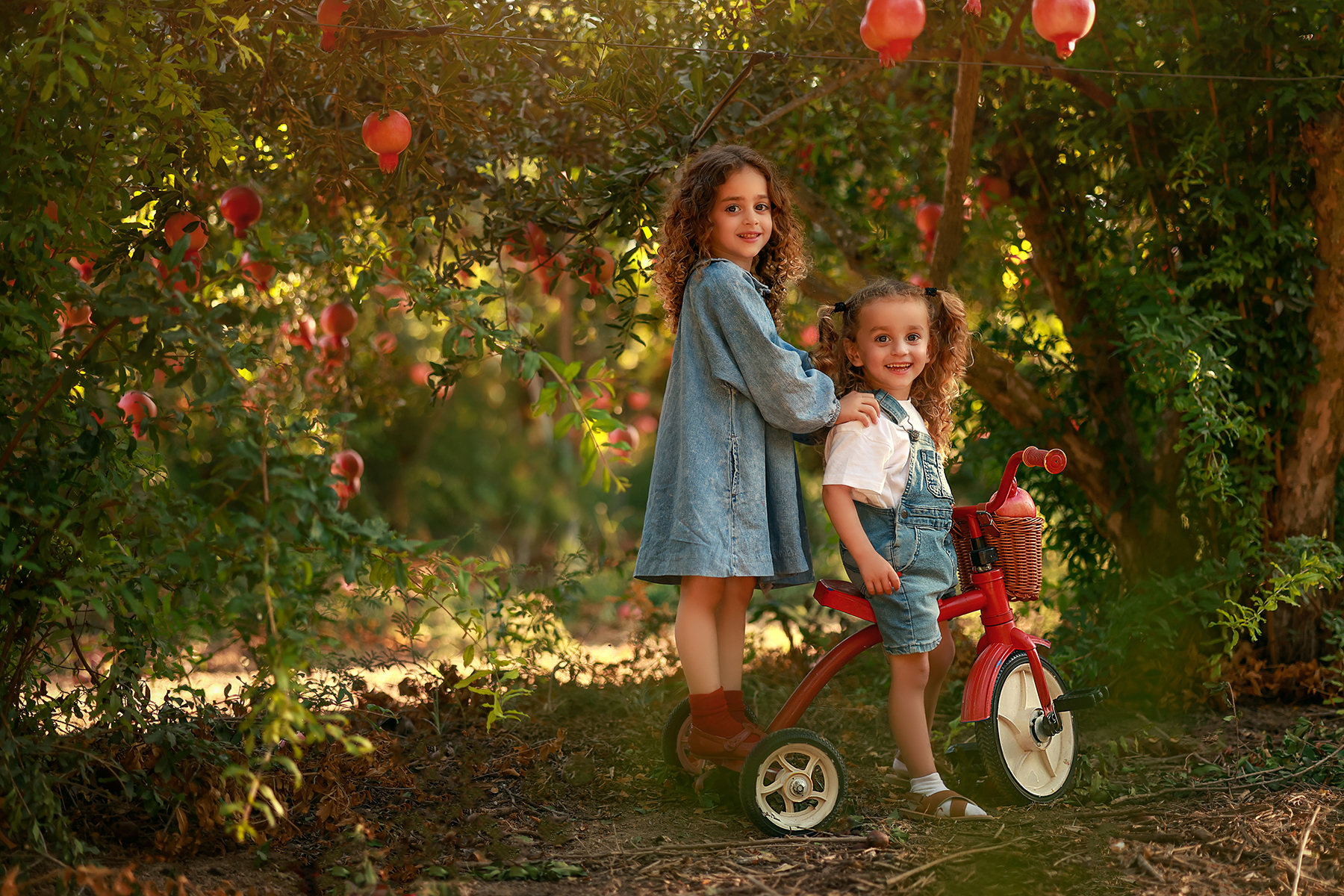 081A2518 copy 2מוקטן.jpg