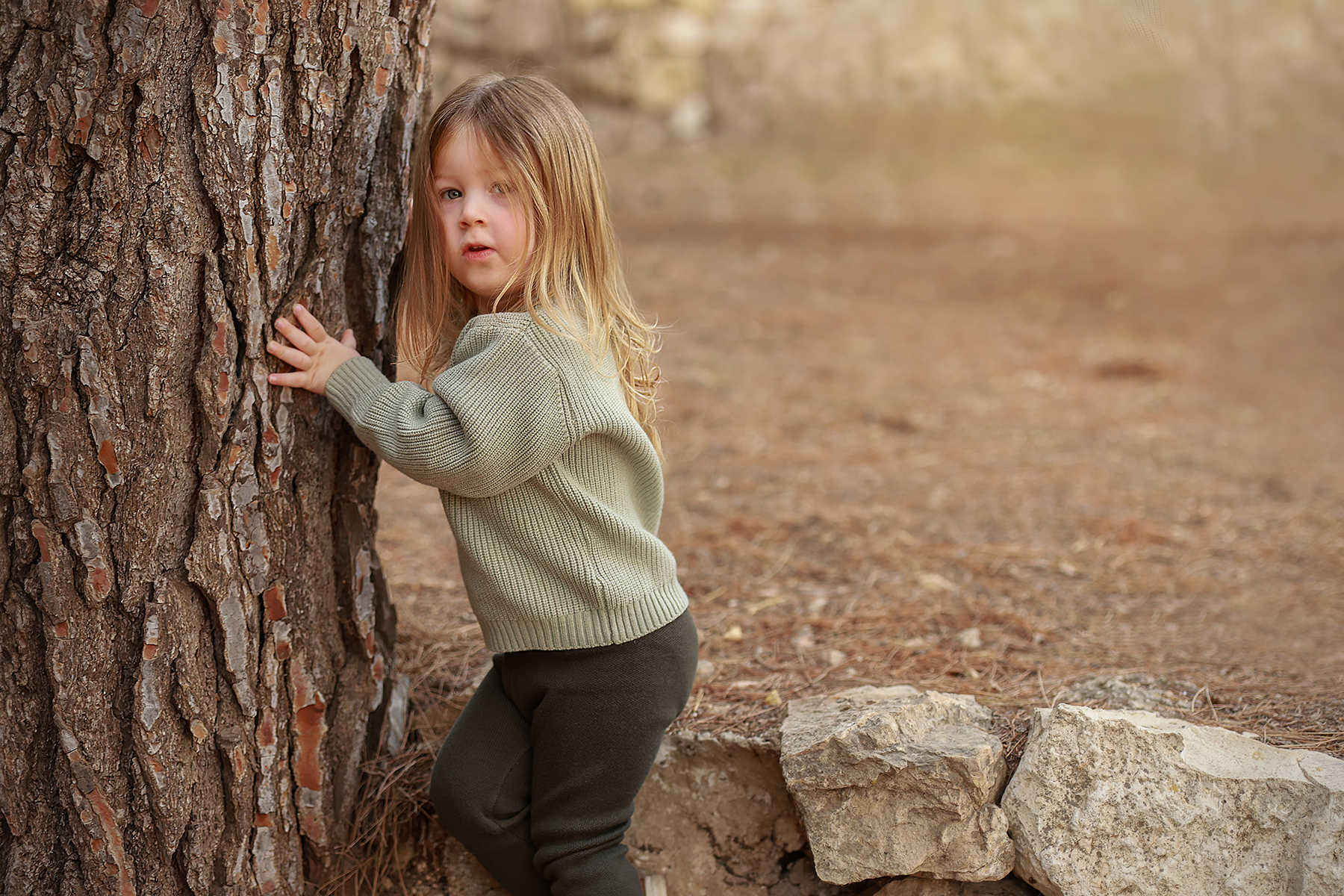 081A3606 copy 2מוקטן.jpg