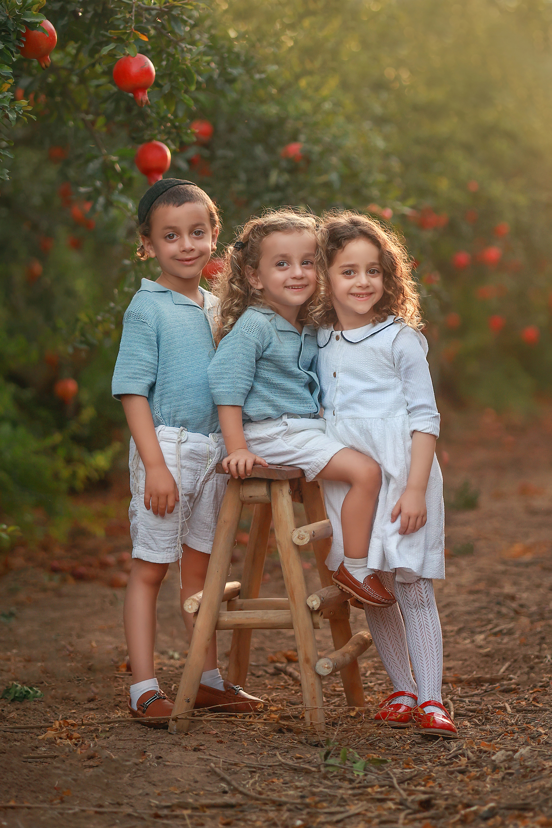 081A3640 copy 3מוקטן.jpg