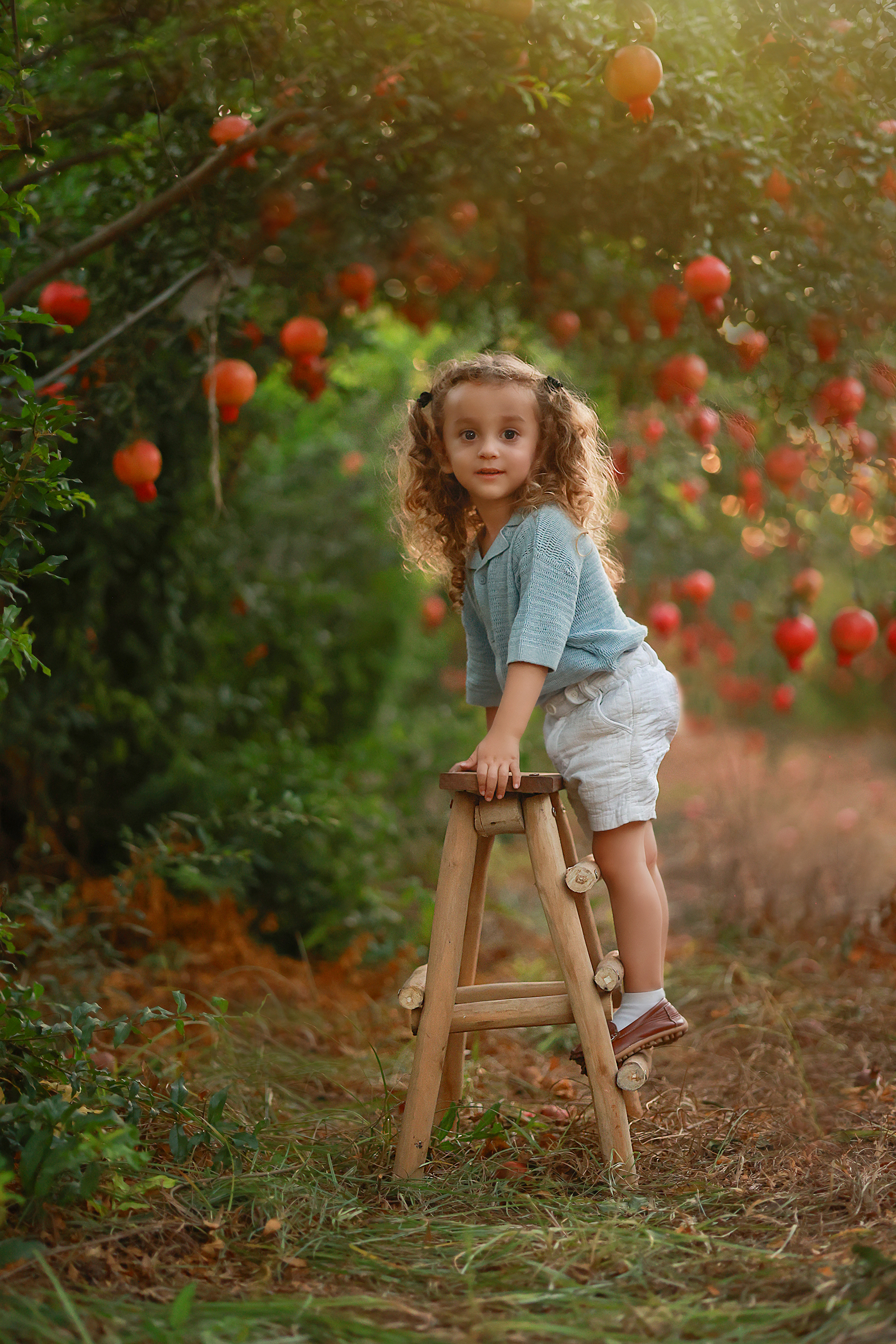 081A3808 copy 2מוקטן.jpg