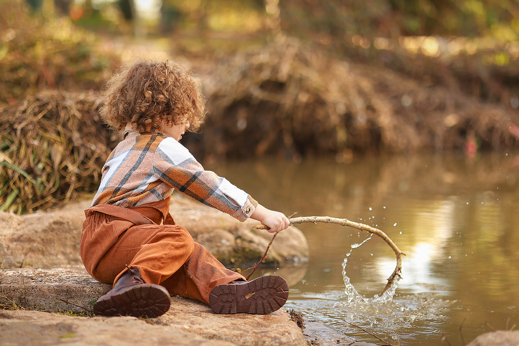 081A4208 copy 2מוקטן.jpg