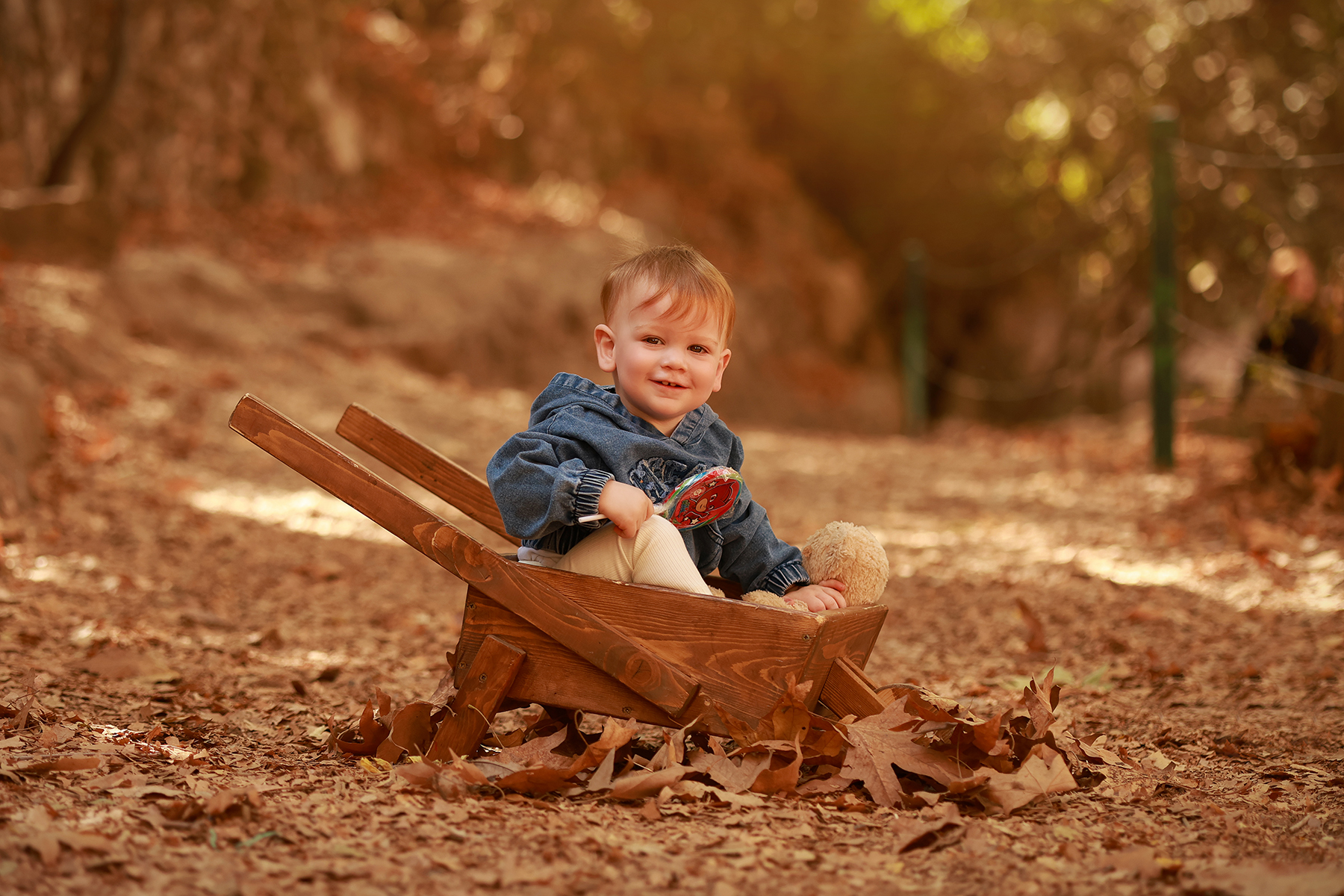 081A5950 copy 2מוקטן.jpg