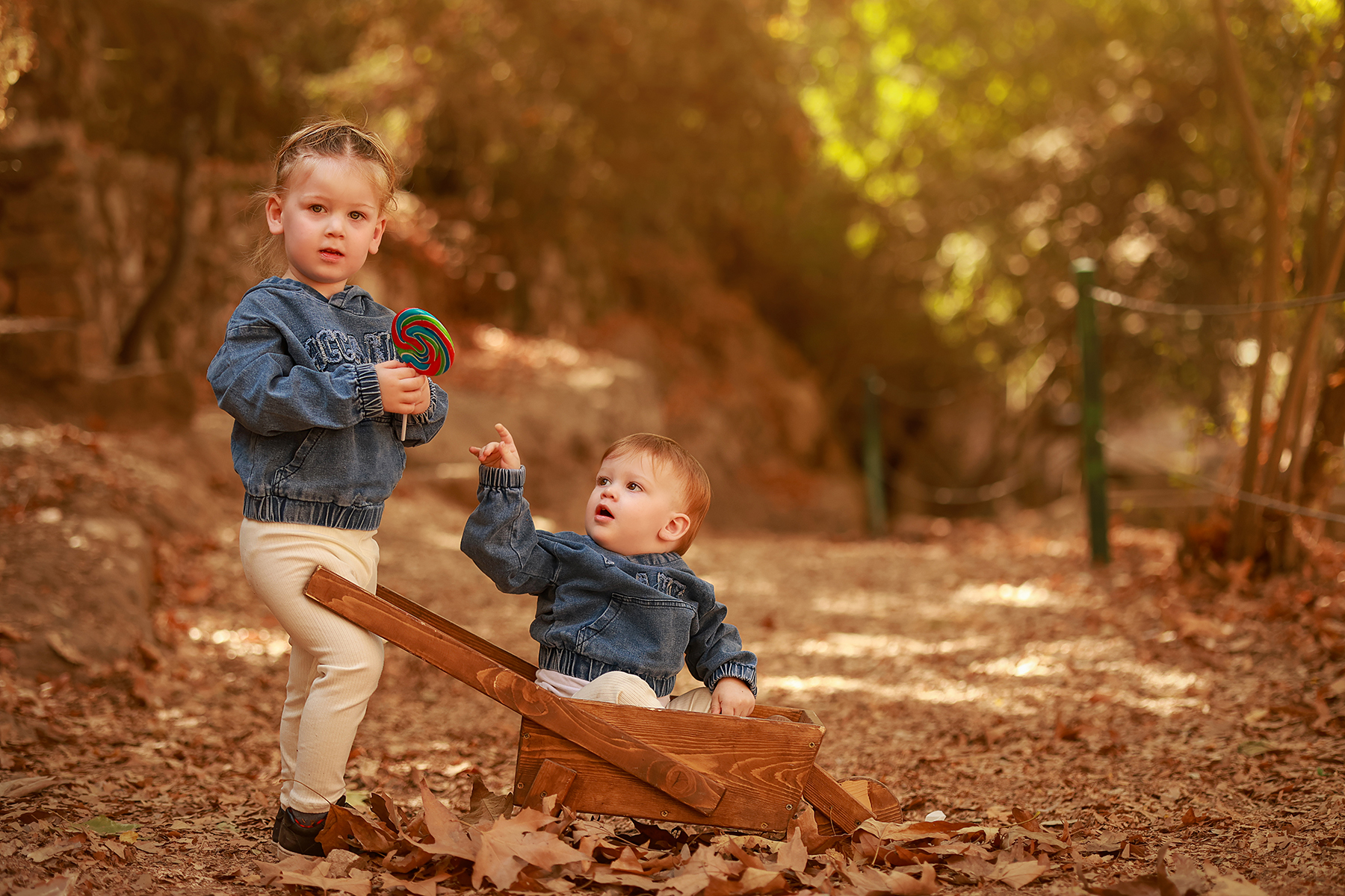 081A6100 copy 2מוקטן.jpg