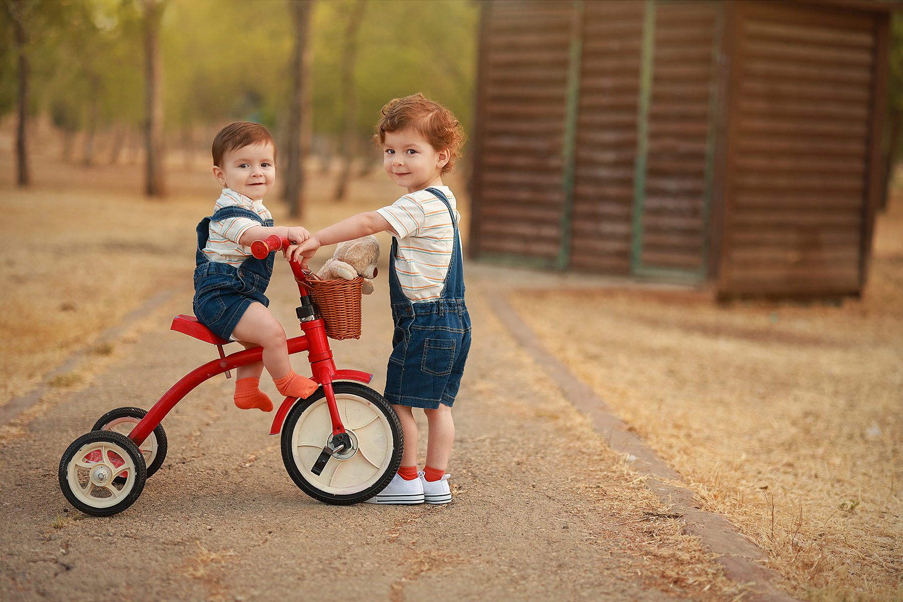 081A6253 copy 3מוקטן.jpg