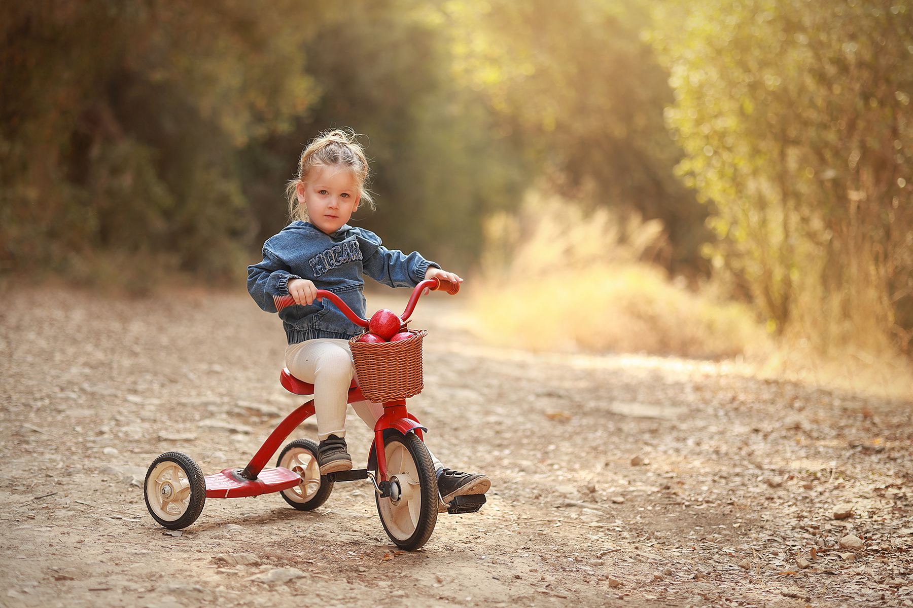 081A6428 copy 2מוקטן.jpg