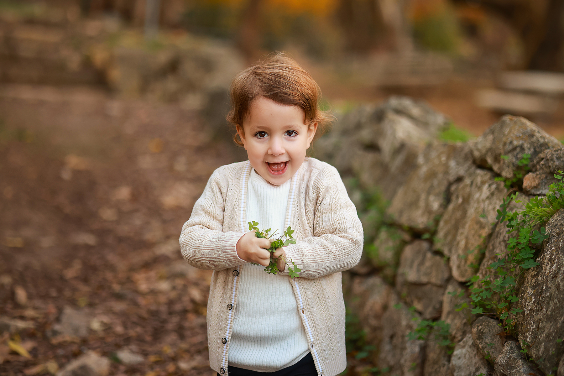 081A8425 copy 2מוקטן.jpg