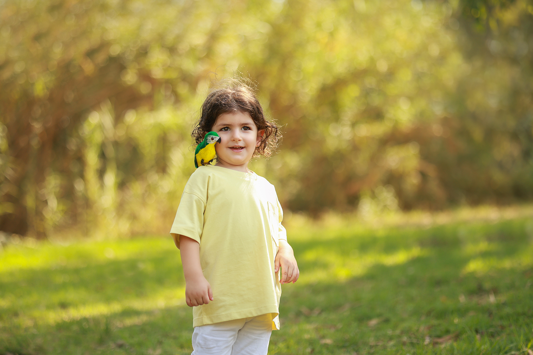 081A8745 copy 2קטן.jpg