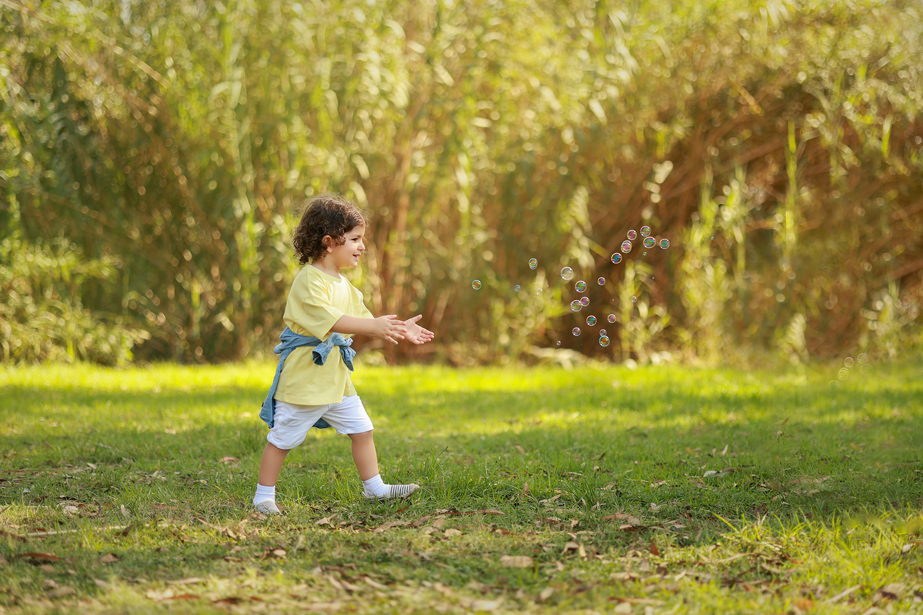 081A8801 copy 2קטן.jpg