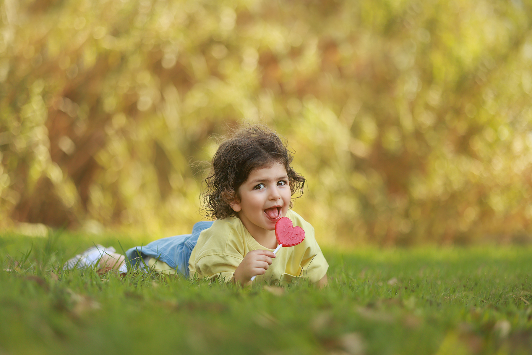 081A8986 copy 2קטן.jpg