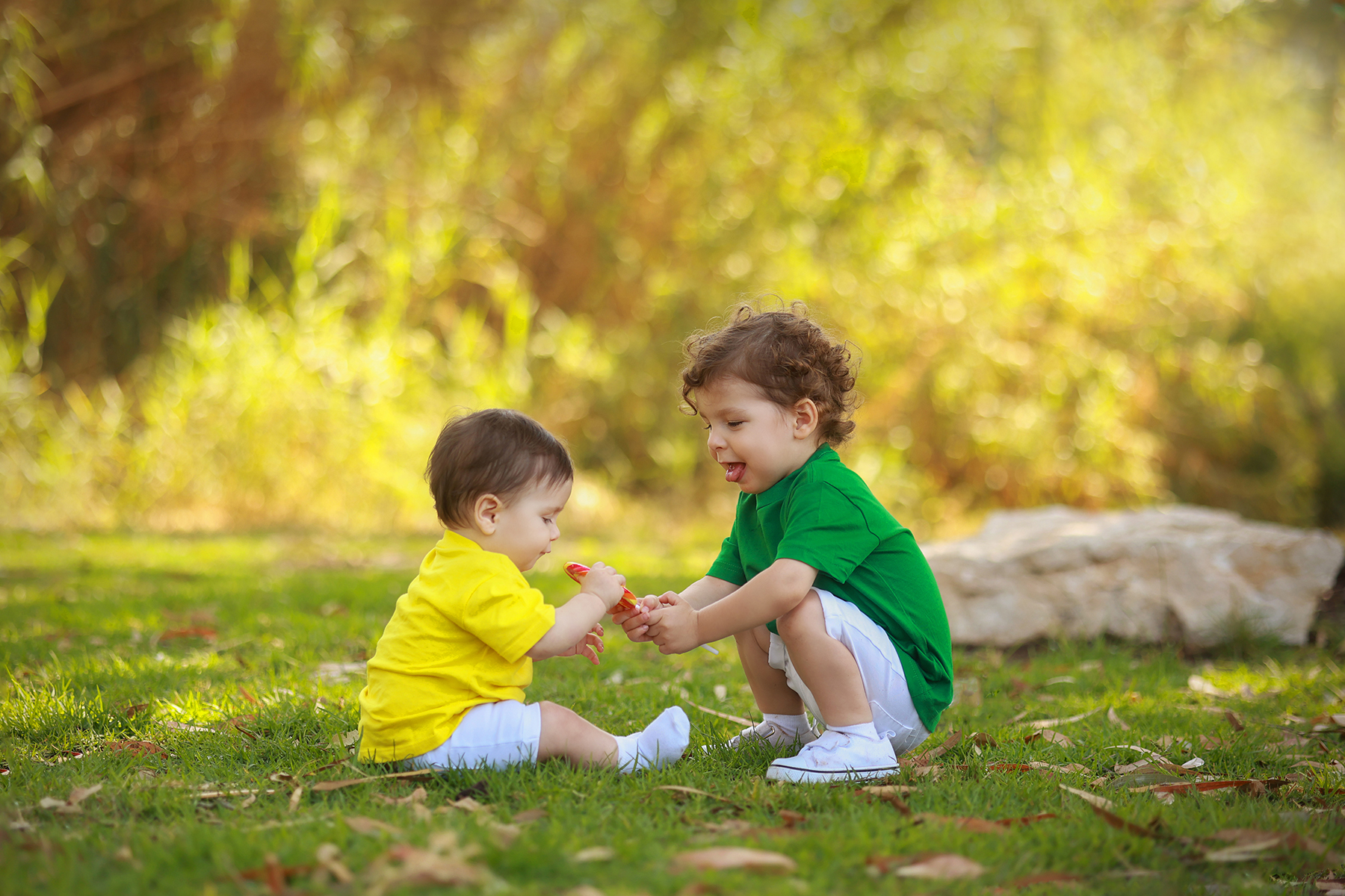 081A9041 copy 3מוקטן.jpg