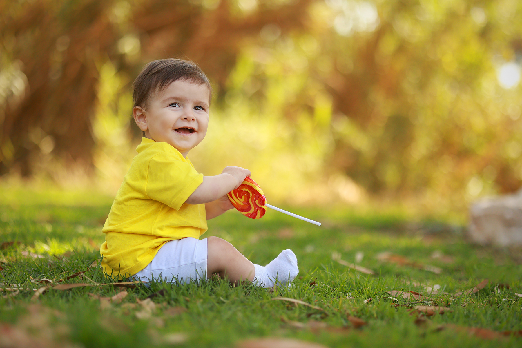 081A9074 copy 2מוקטן.jpg