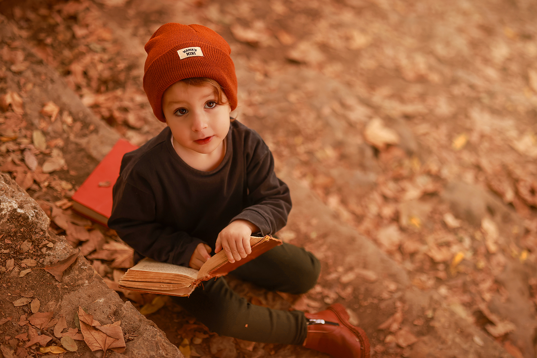 081A9604 copy 2מוקטן.jpg