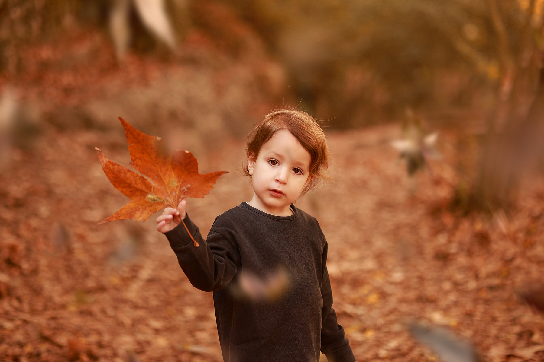 081A9878 copy 2מוקטן.jpg