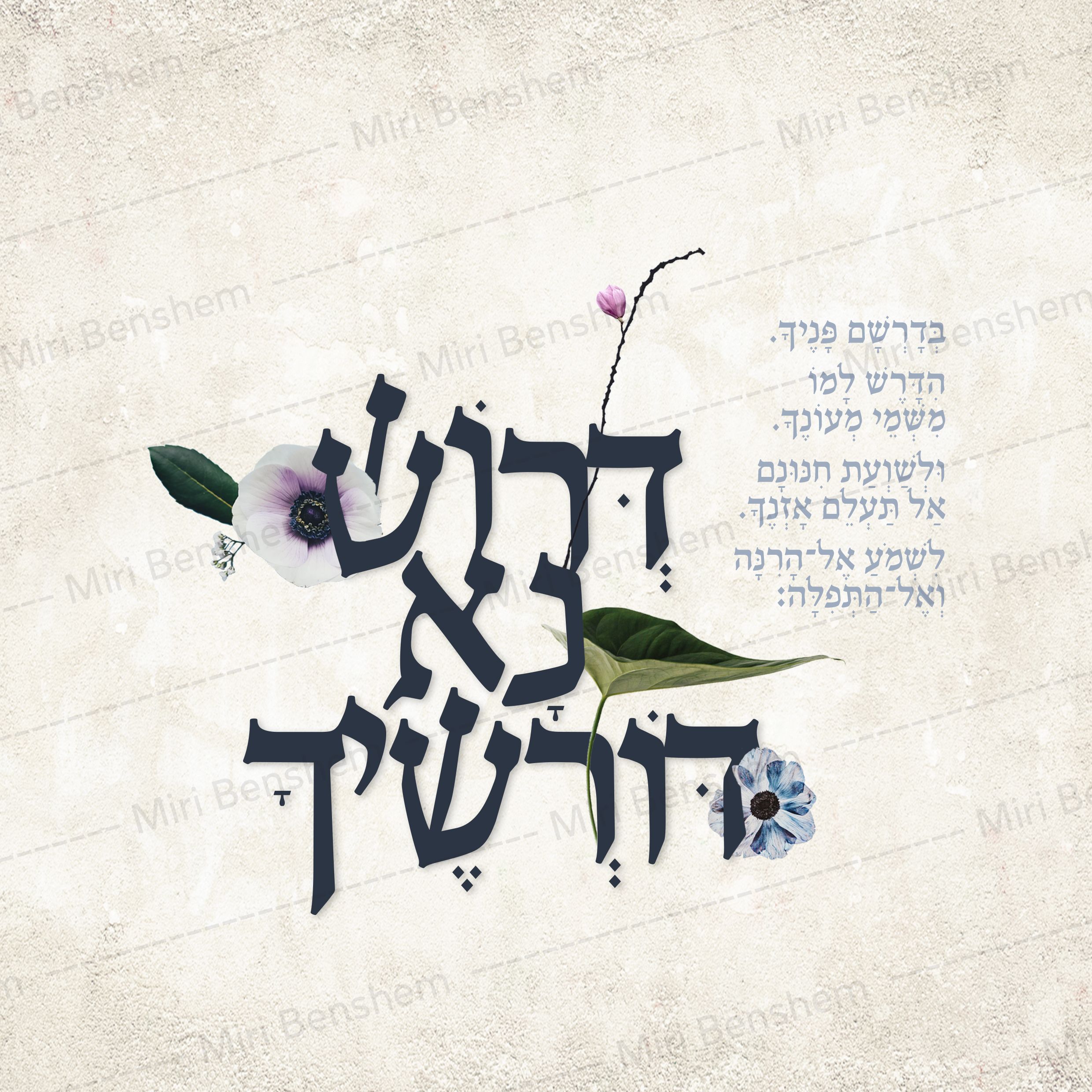 09 דרוש נא.jpg