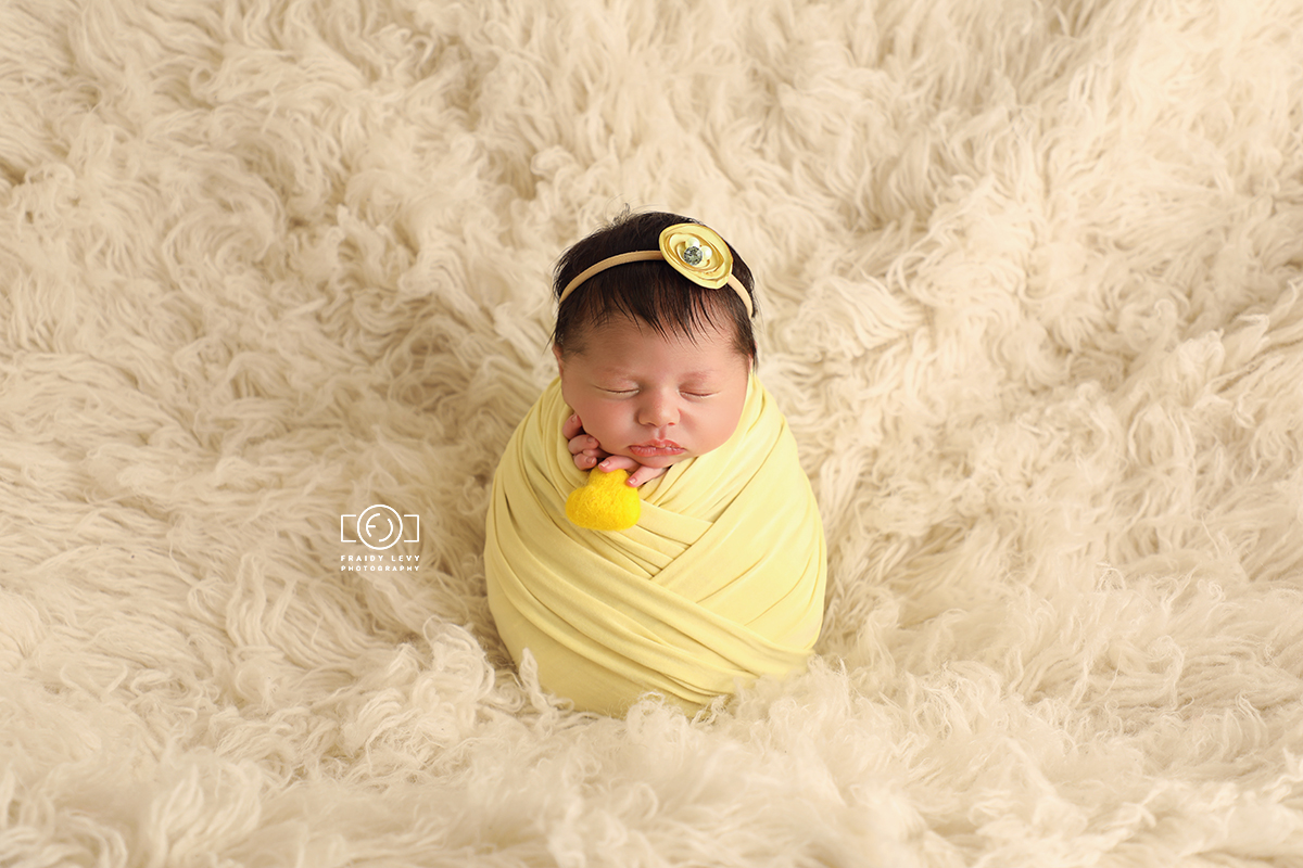 0A6A0205 מעובד מוקטן.jpg