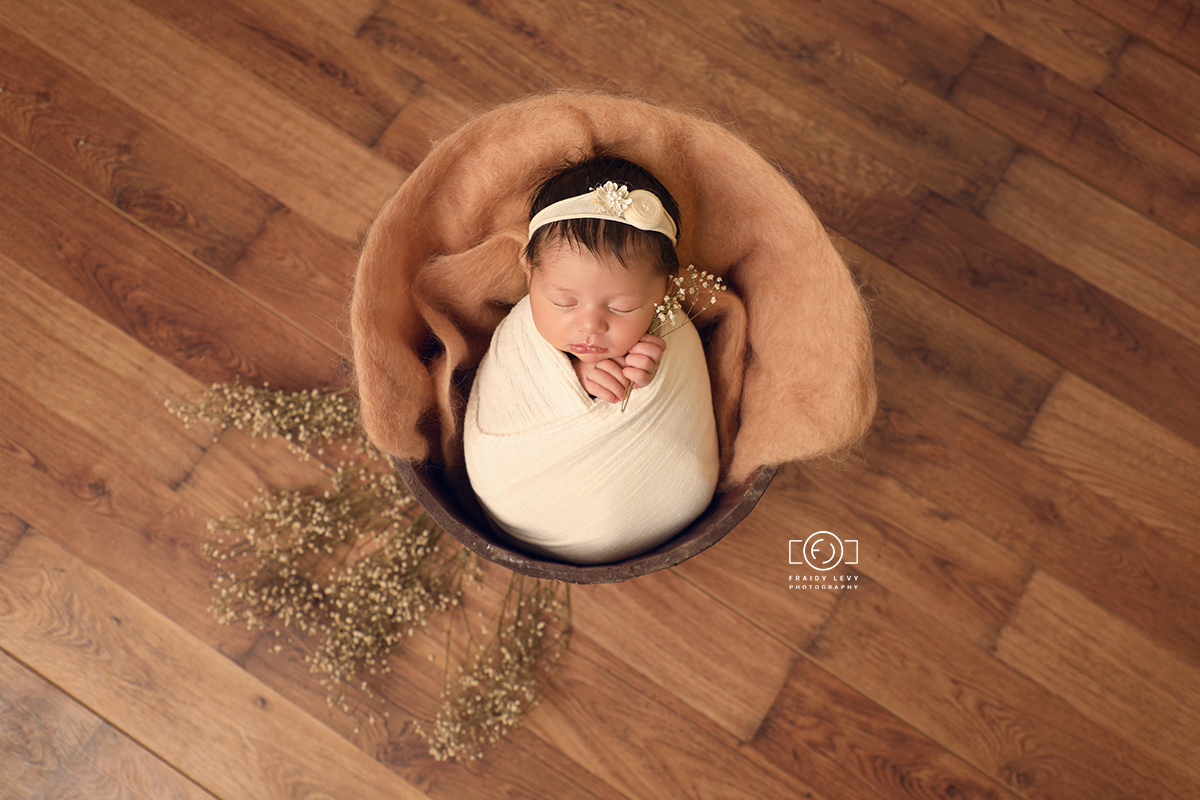 0A6A0253 מעובד מוקטן.jpg