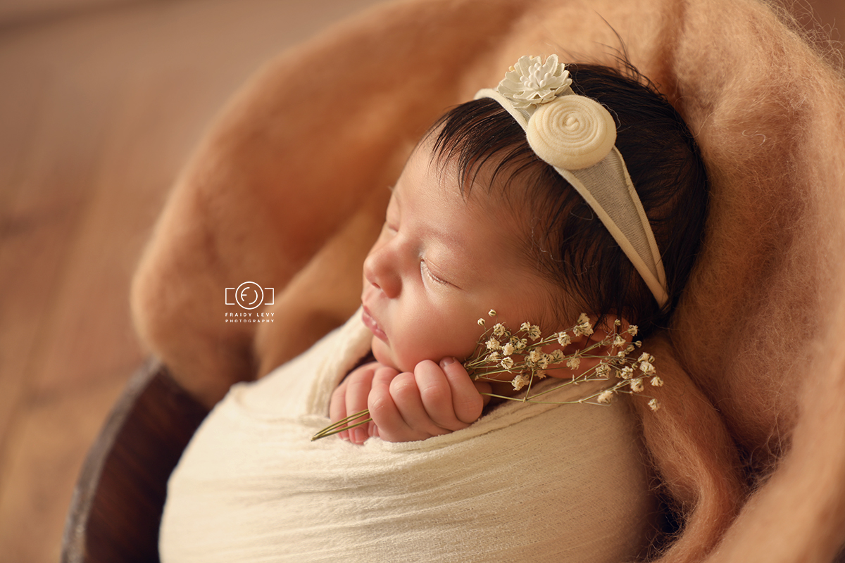 0A6A0257 מעובד מוקטן.jpg