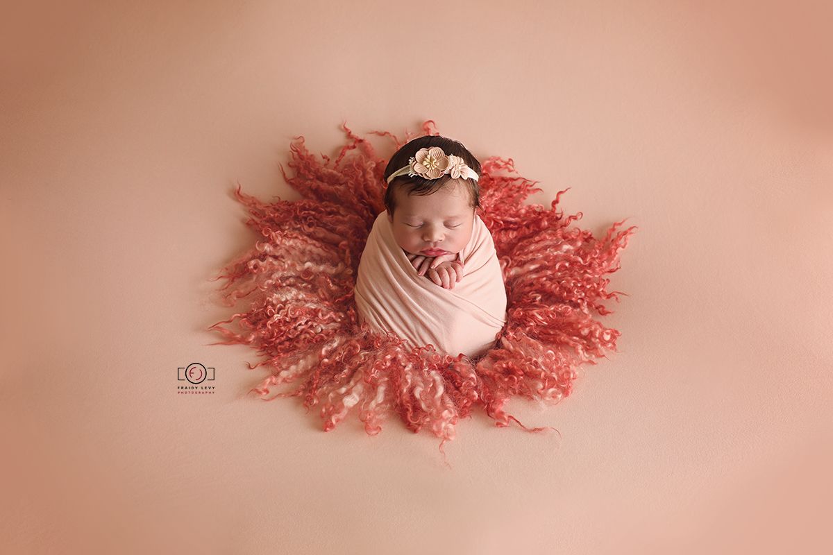 0A6A3446 מעובד מוקטן.jpg