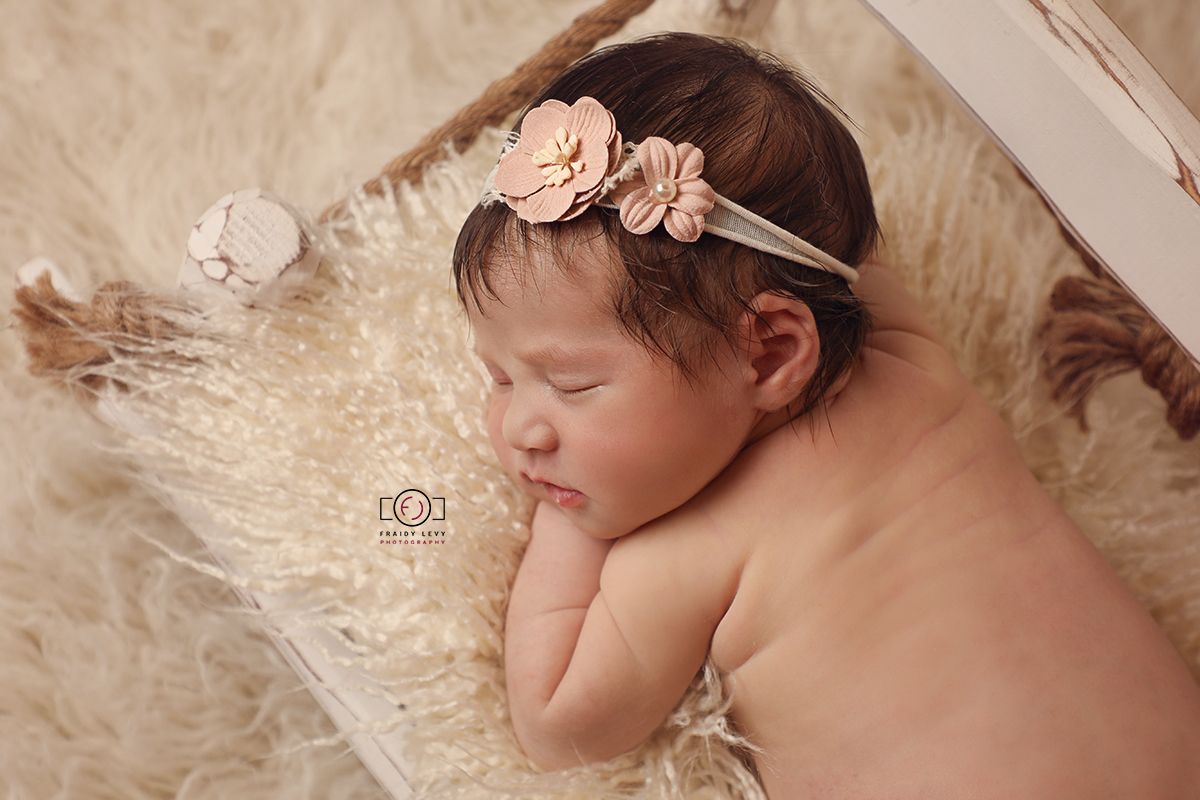 0A6A3585 מעובד מוקטן.jpg