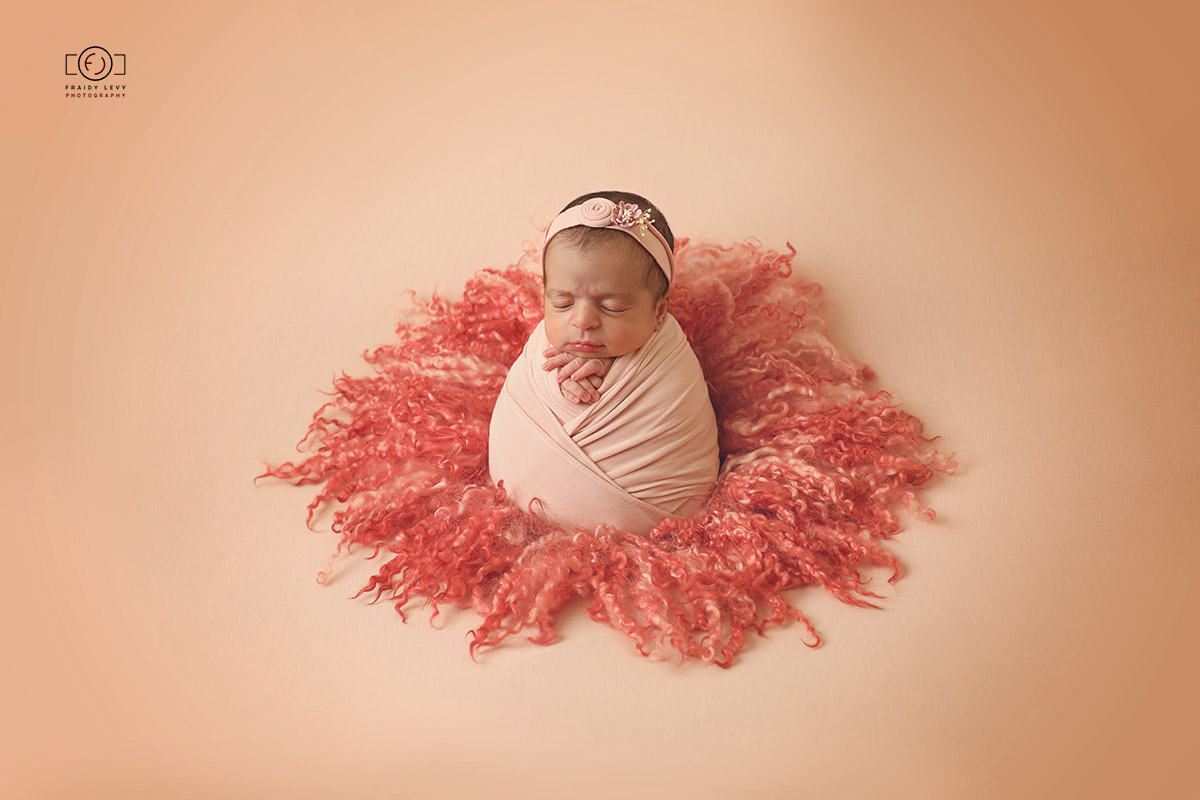 0A6A6140 מעובד 2 לוגו.jpg