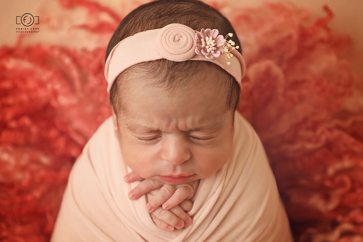 0A6A6151 מעובד לוגו 2.jpg