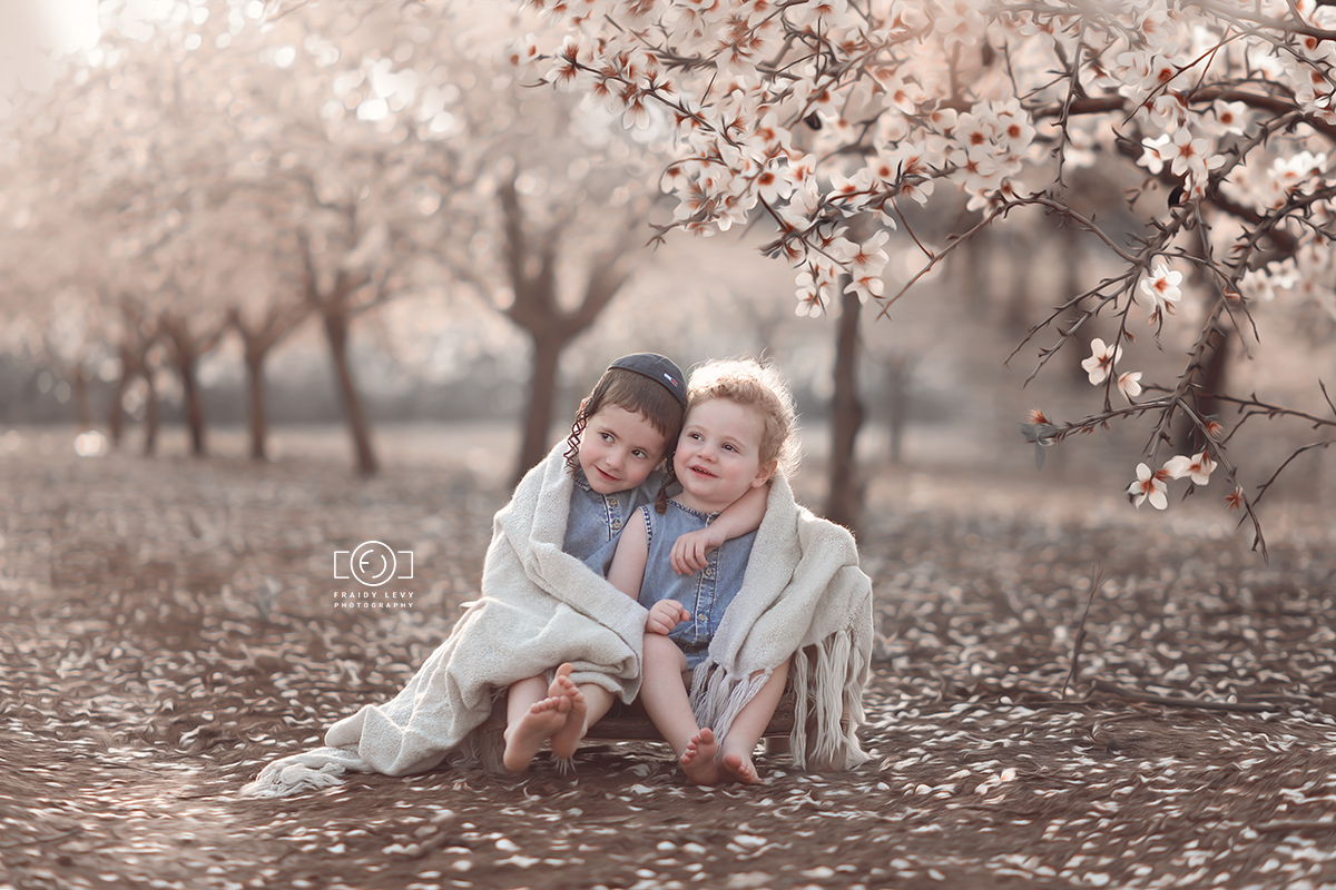 0A6A6279 מעובד 2 מוקטן.jpg