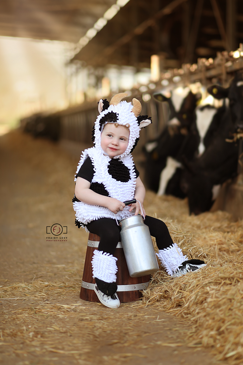 0A6A7352 מעובד מוקטן.jpg