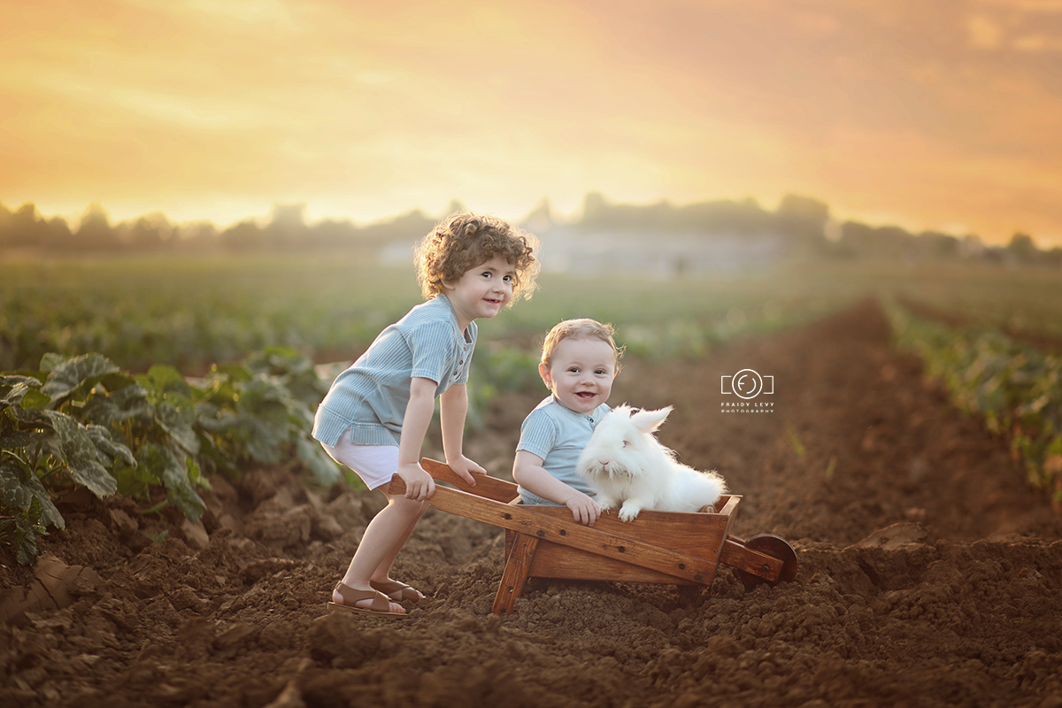 0A6A8602 מעובד מוקטן.jpg