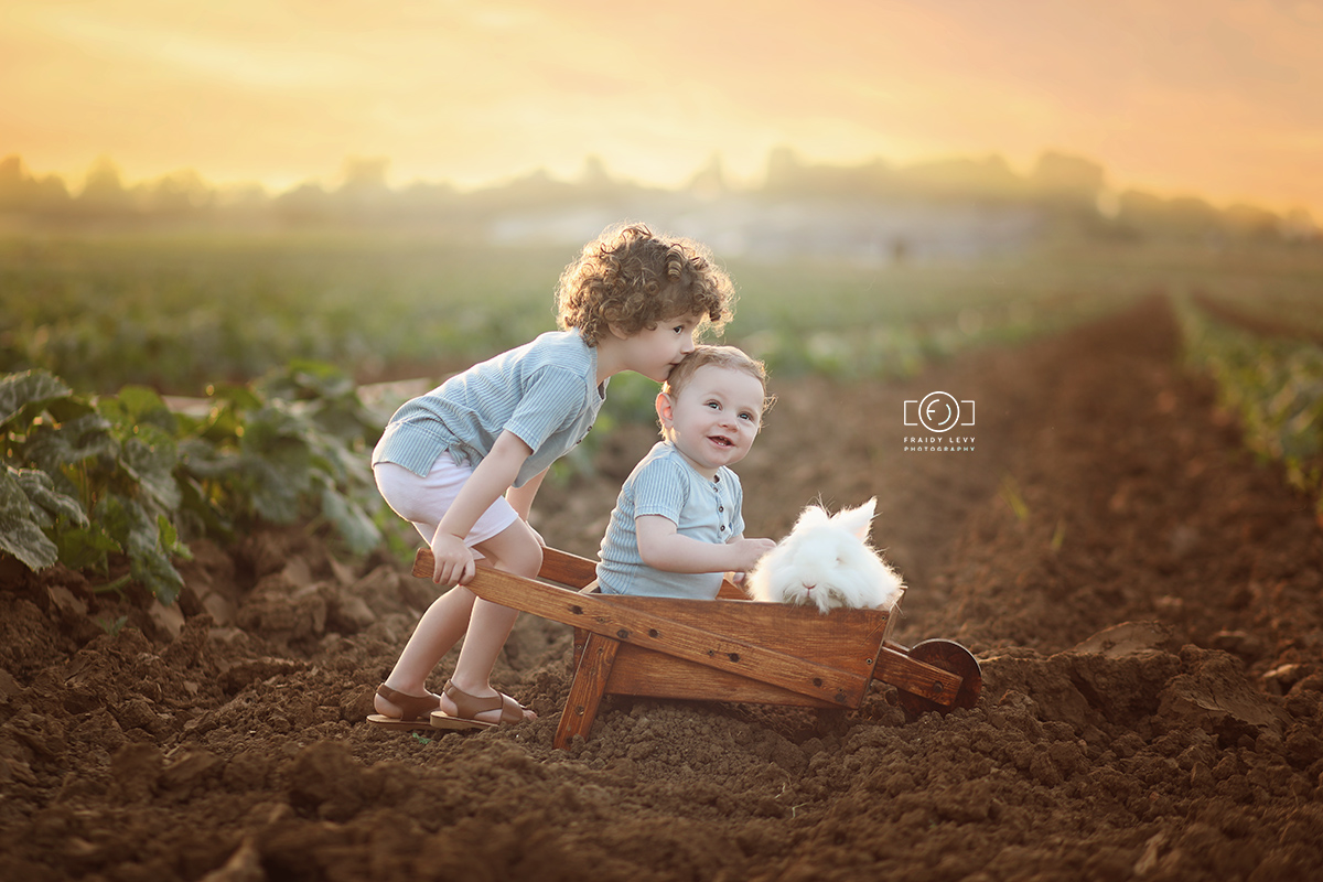 0A6A8642 מעובד מוקטן.jpg